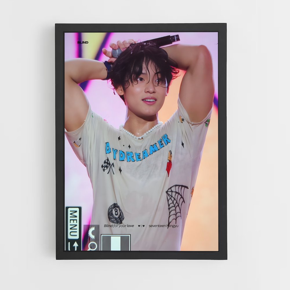 ap-mingyu-3 cadre Noir