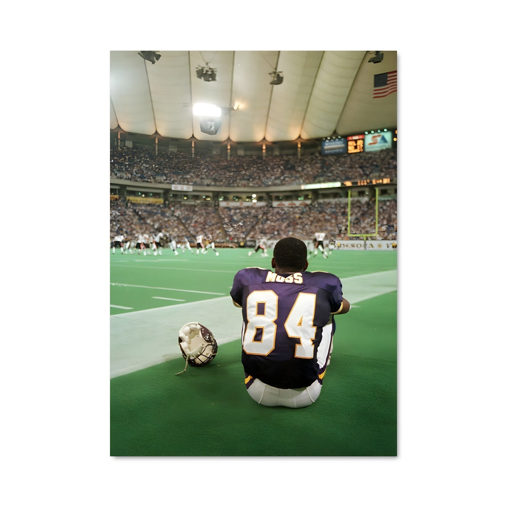 Poster Minnesota vikings 57548