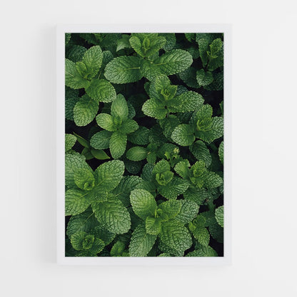 ap-mint-2 cadre Blanc