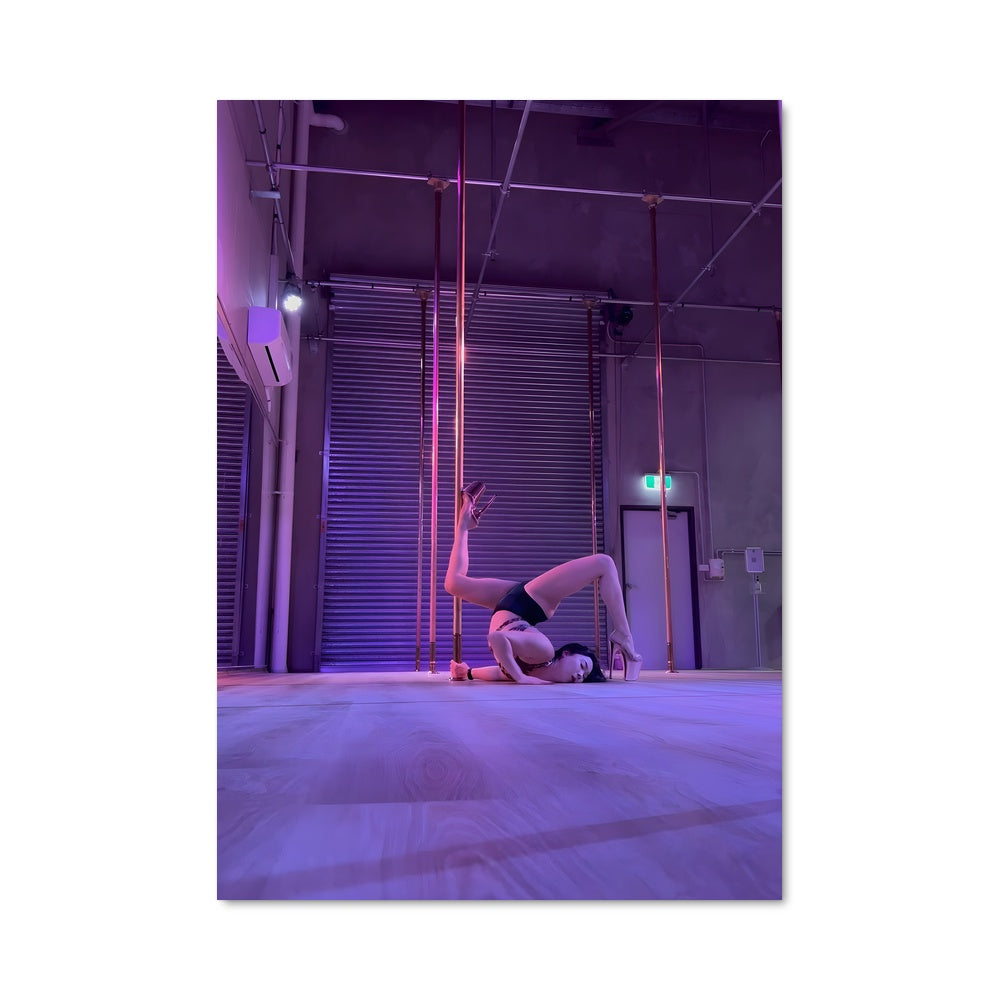 Poster Miss pole dance world 66069