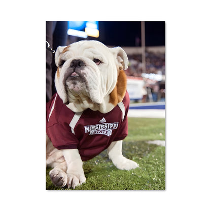 Poster Bulldogs en Maroon