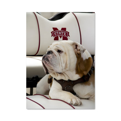 Poster Bulldog en Détente