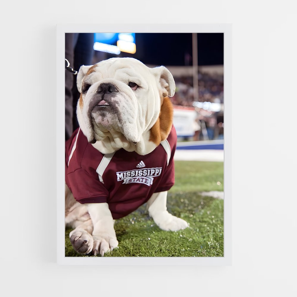 ap-mississippi state bulldogs-1 cadre Blanc