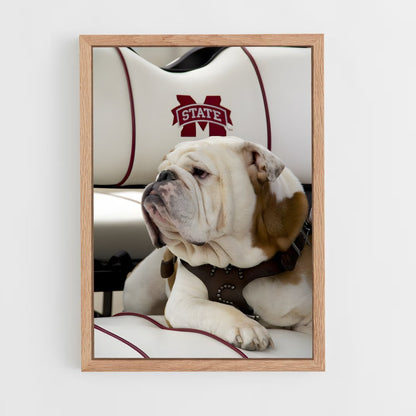 ap-mississippi state bulldogs-4 cadre Bois clair