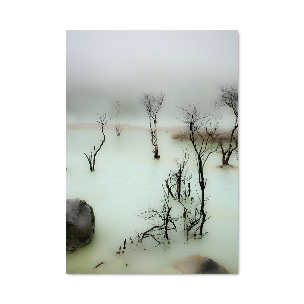 Poster L'Écho des Arbres Morts