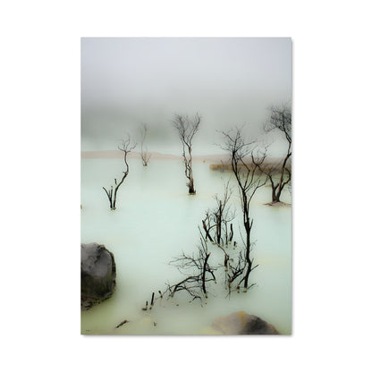 Poster L'Écho des Arbres Morts