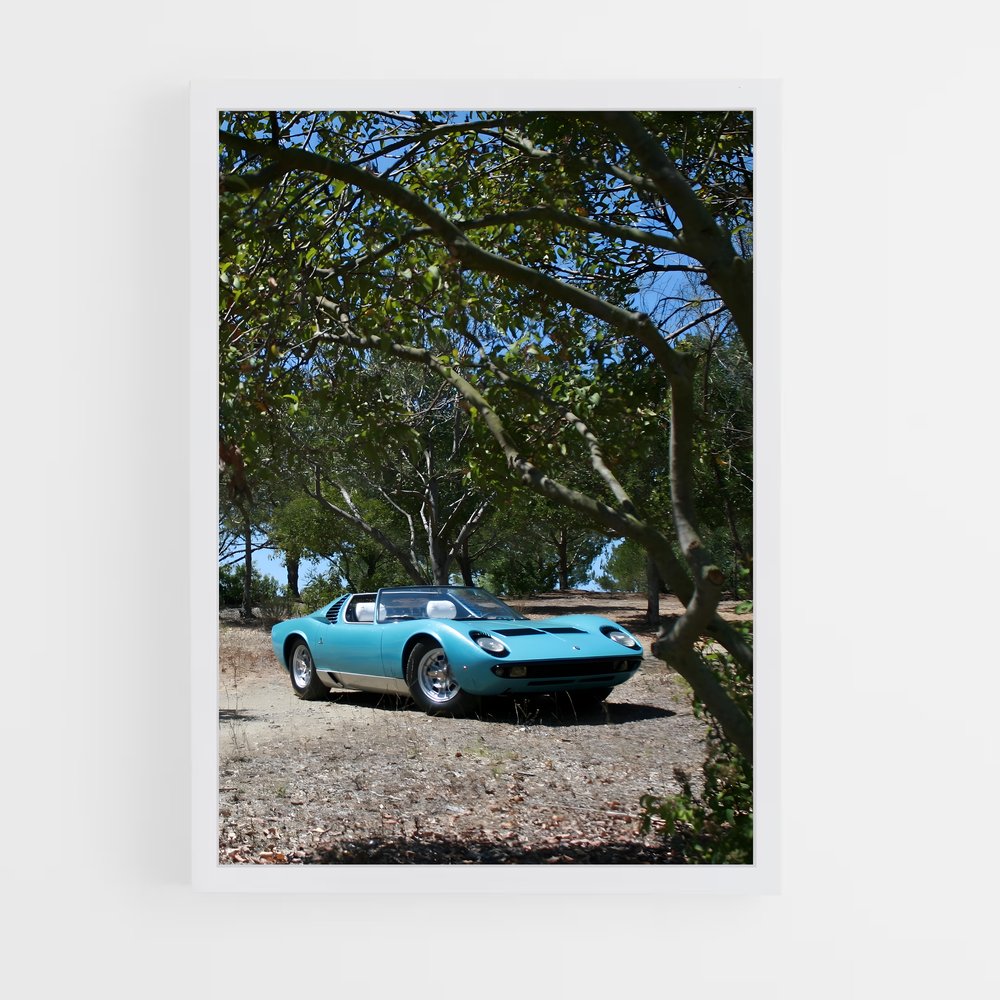 ap-miura roadster-1 cadre Blanc