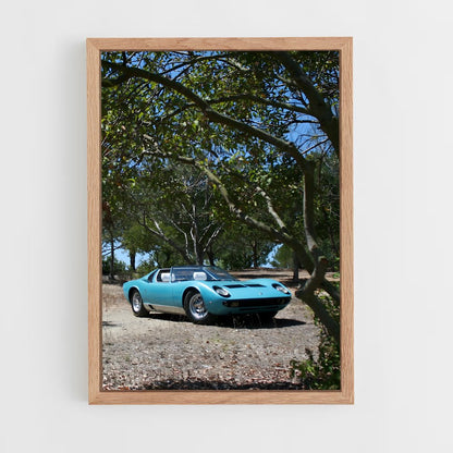 ap-miura roadster-1 cadre Bois clair