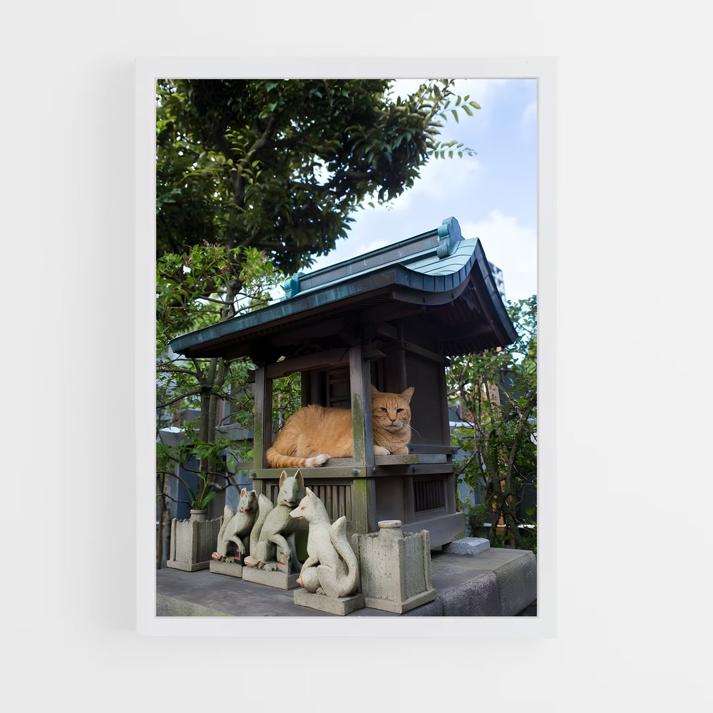ap-miyajima-5 cadre Blanc