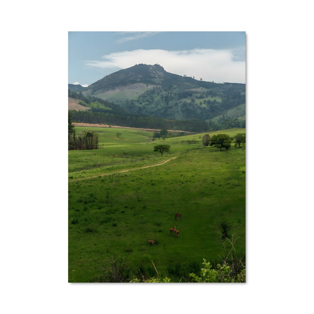 Poster Horizons de Mlilwane