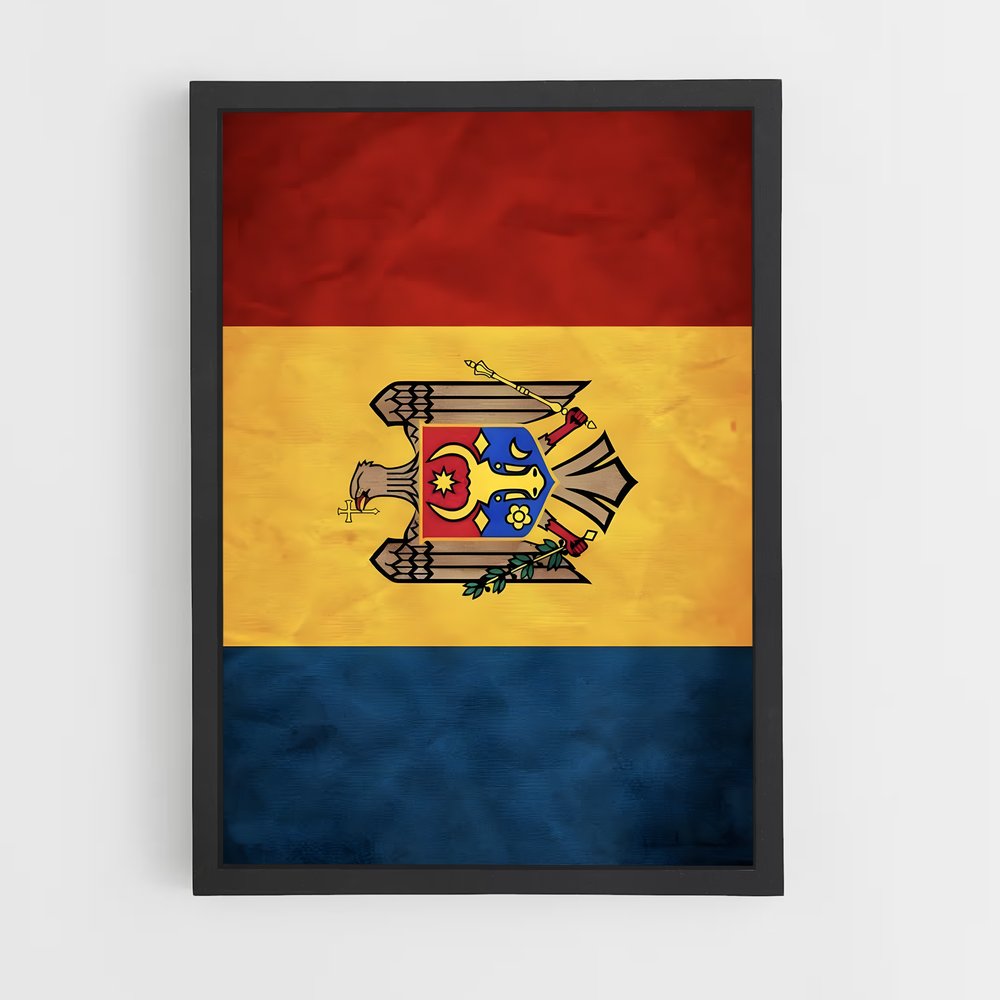 ap-moldova flag-1 cadre Noir