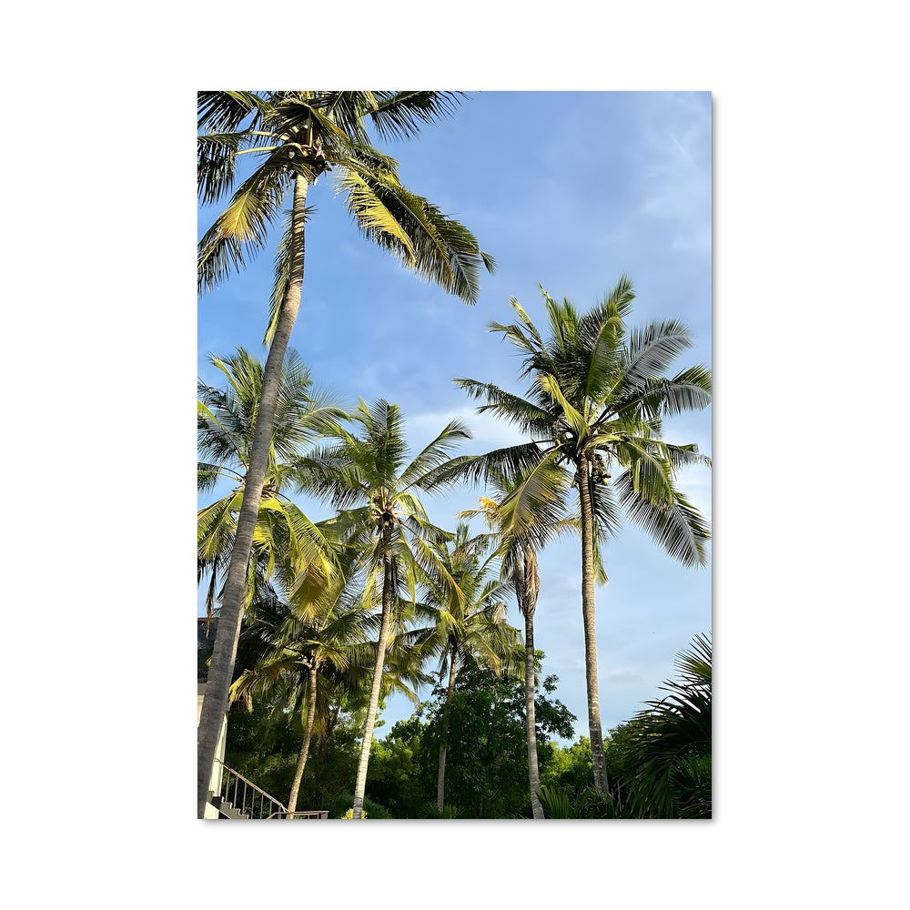 Poster Paradise Tropical