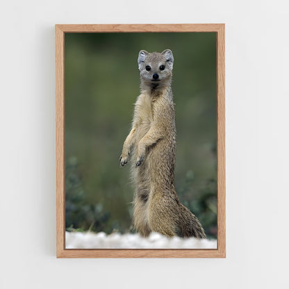 ap-mongoose-1 cadre Bois clair