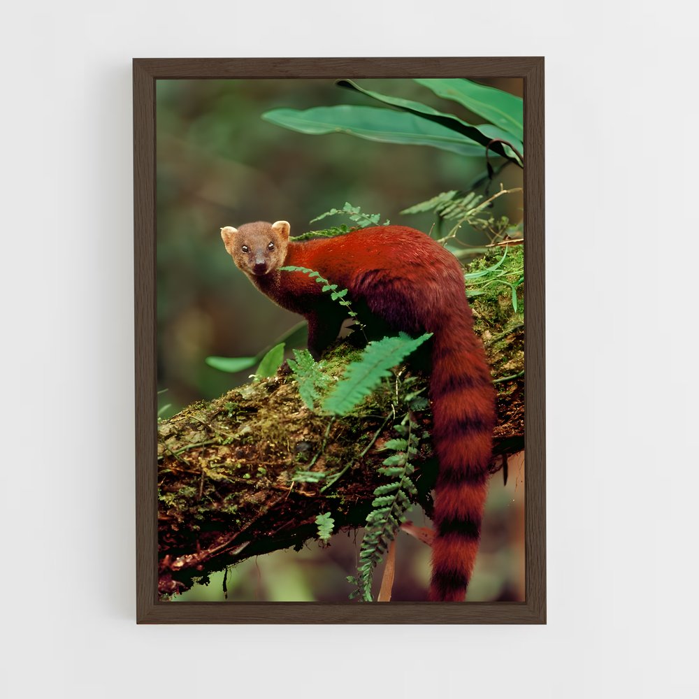 ap-mongoose-3 cadre Bois foncé