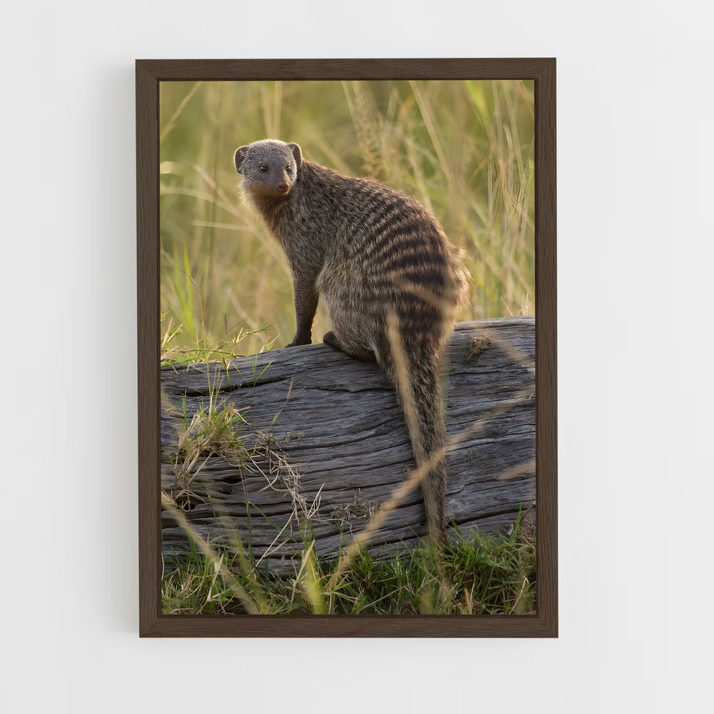 ap-mongoose-4 cadre Bois foncé