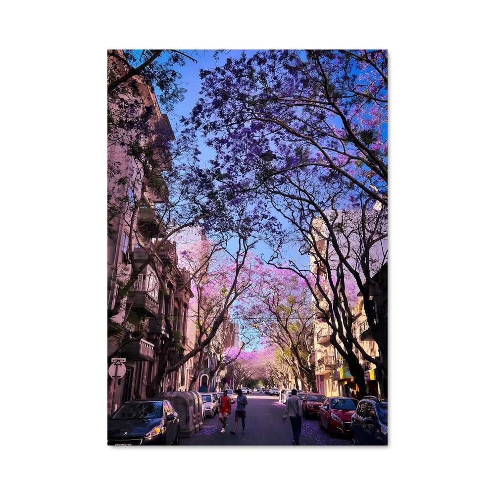 Poster Montevideo 94079