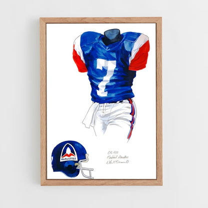 ap-montreal alouettes-1 cadre Bois clair