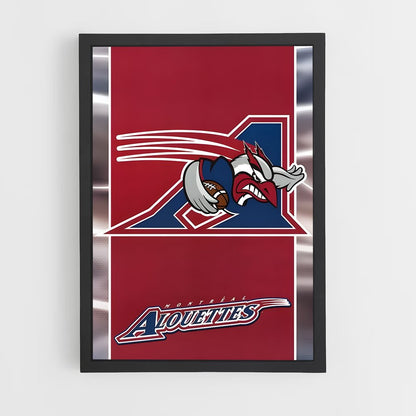 ap-montreal alouettes-3 cadre Noir