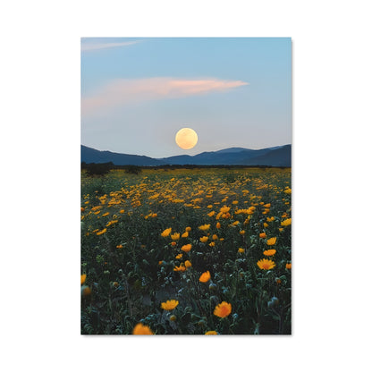Poster Nuit Florale