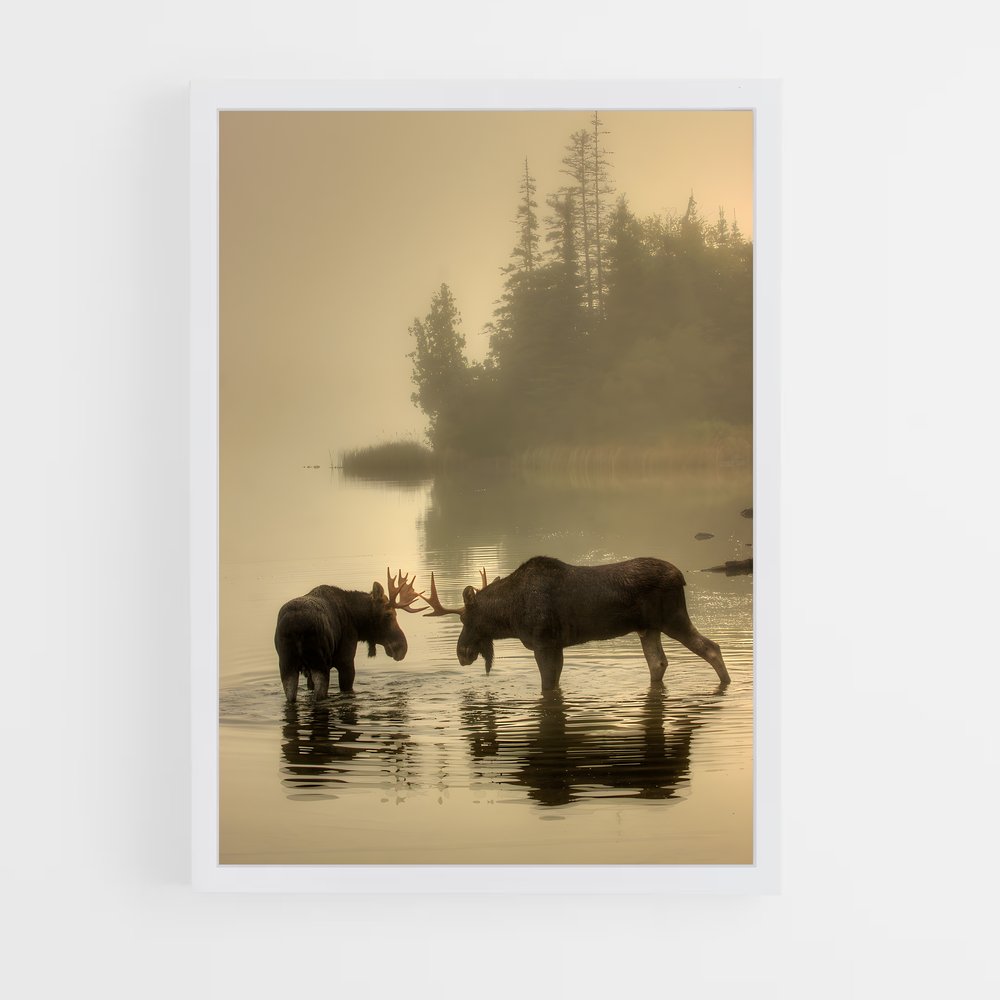 ap-moose-2 cadre Blanc