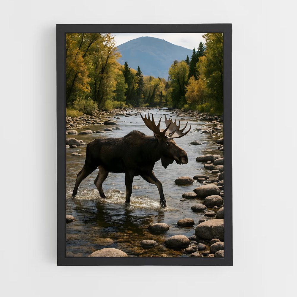 ap-moose-5 cadre Noir