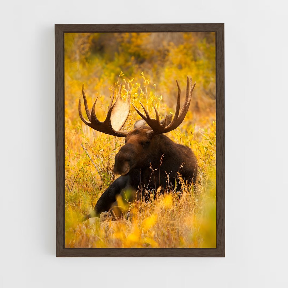 ap-moose-8 cadre Bois foncé