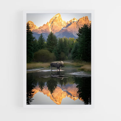 ap-moose-9 cadre Blanc