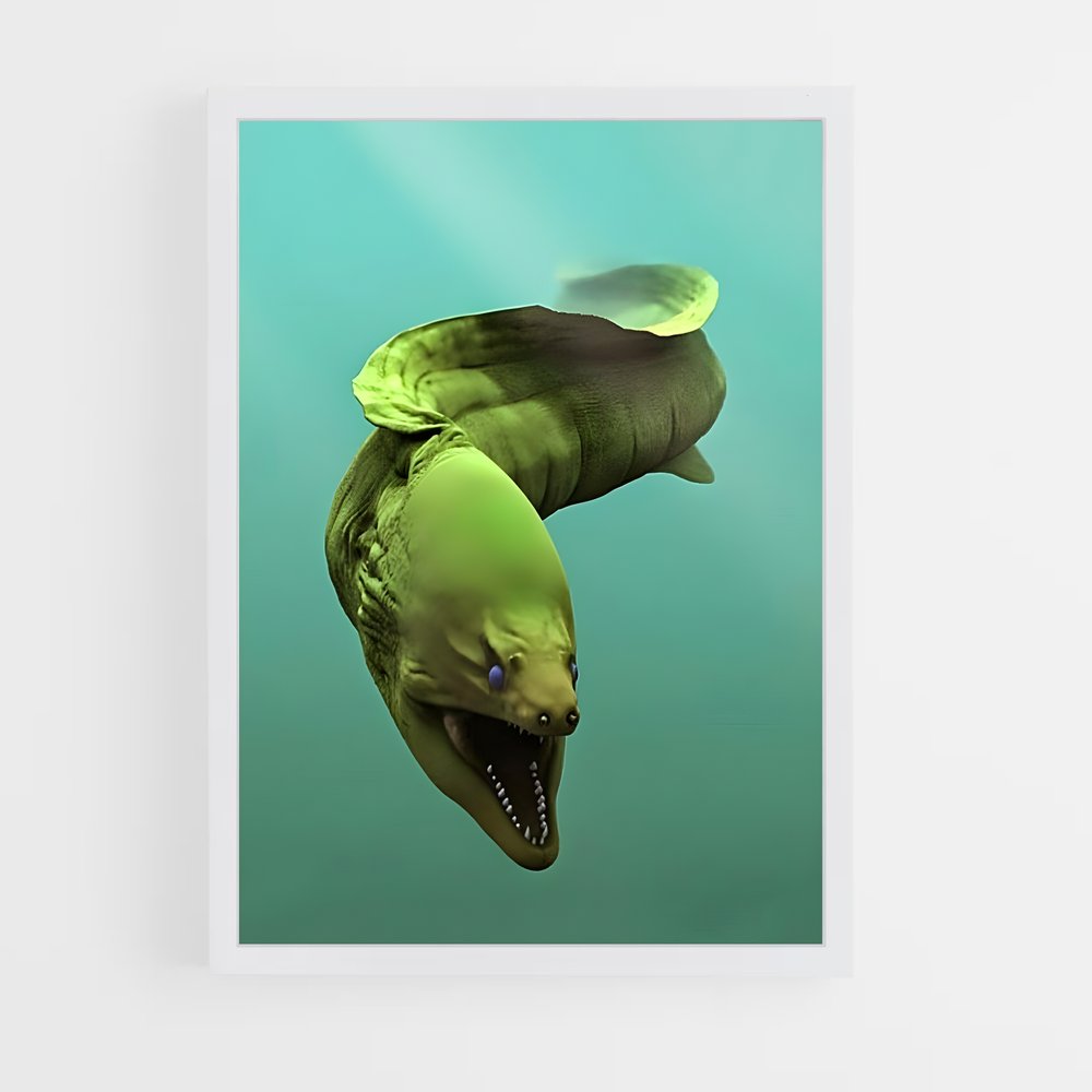ap-moray eel-1 cadre Blanc