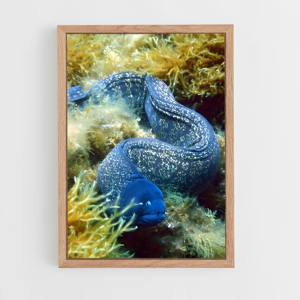 ap-moray eel-2 cadre Bois clair