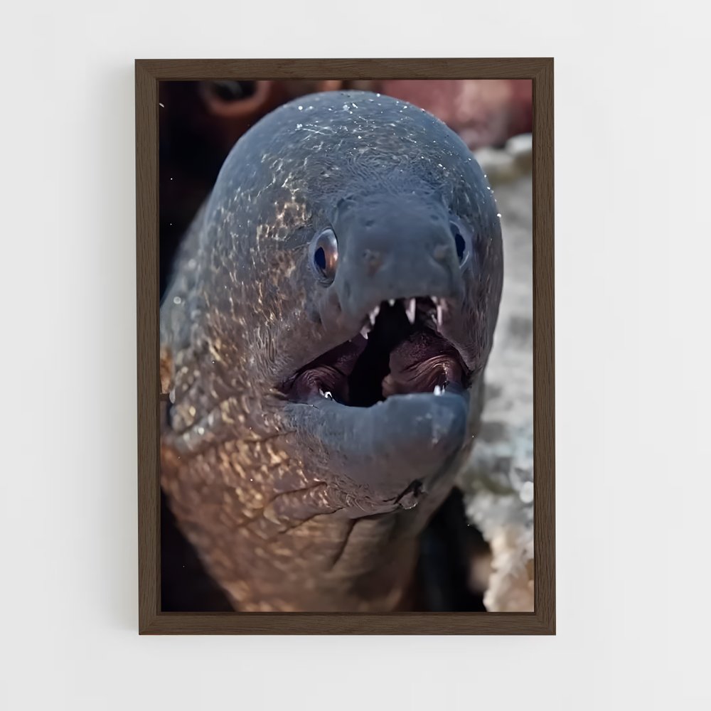 ap-moray eel-3 cadre Bois foncé
