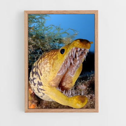 ap-moray eel-4 cadre Bois clair