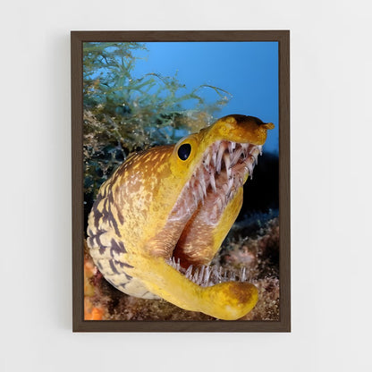ap-moray eel-4 cadre Bois foncé