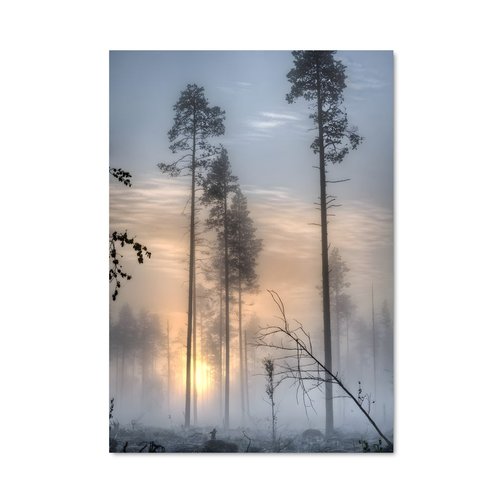 Poster Morning mist 94696