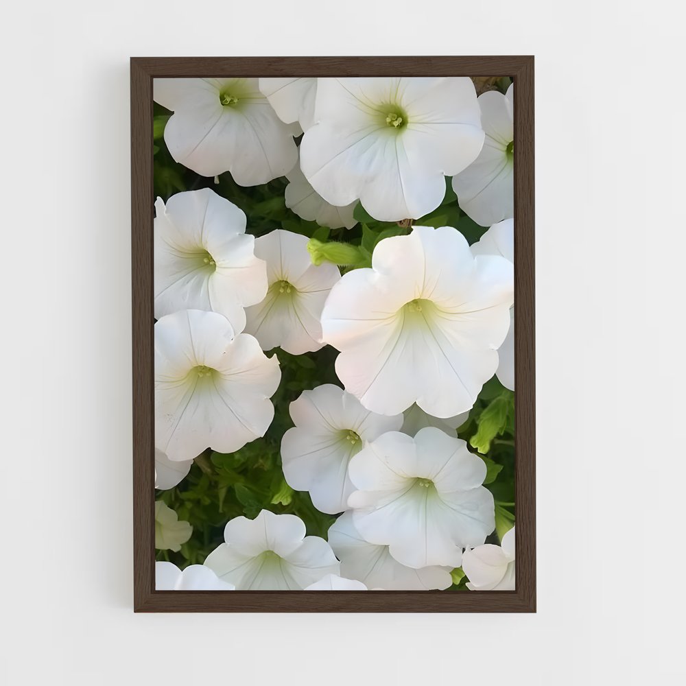 ap-morning glory-8 cadre Bois foncé