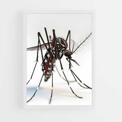 ap-mosquito-1 cadre Blanc