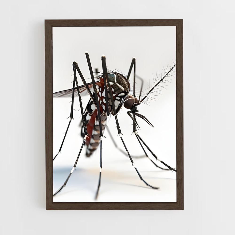 ap-mosquito-1 cadre Bois foncé