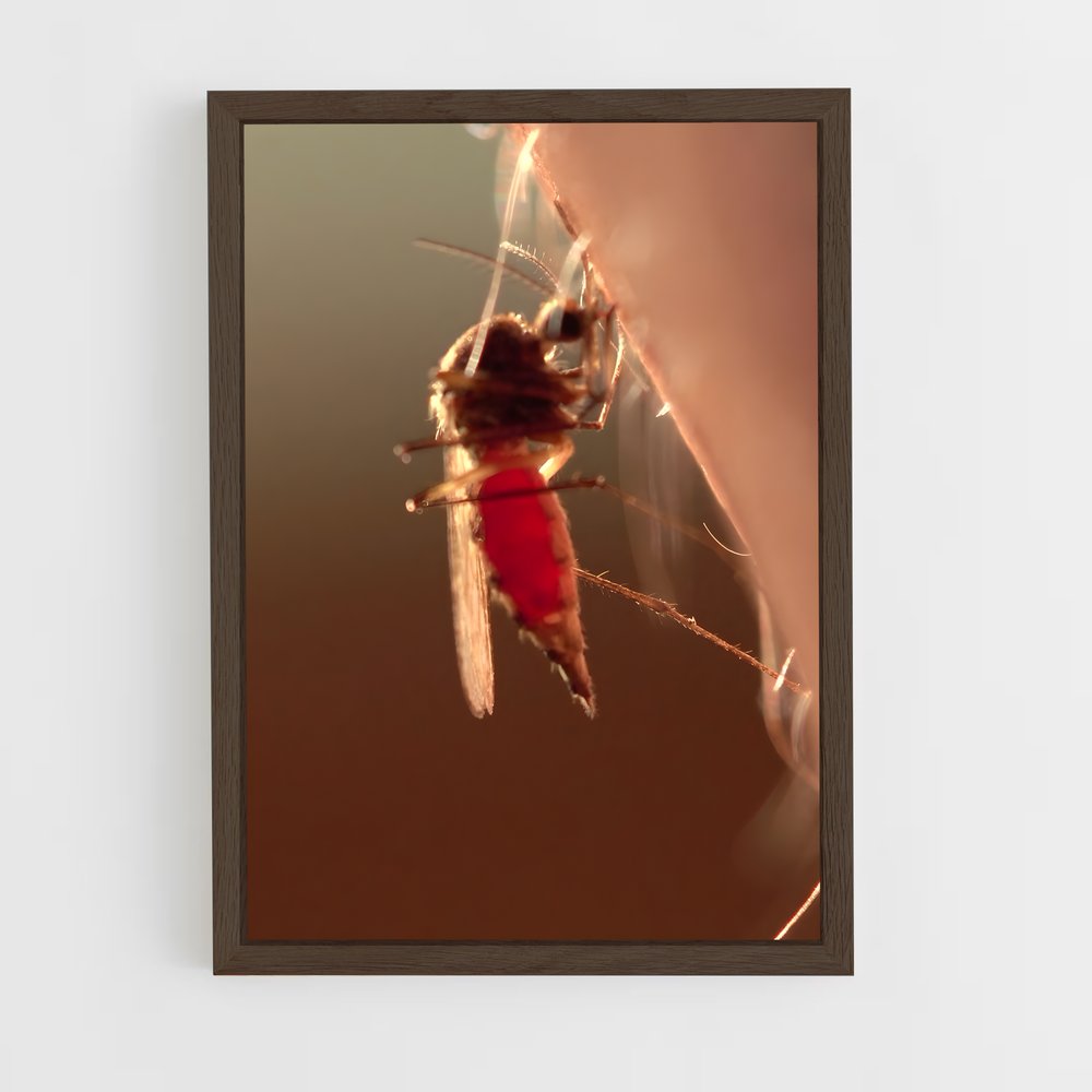 ap-mosquito-3 cadre Bois foncé