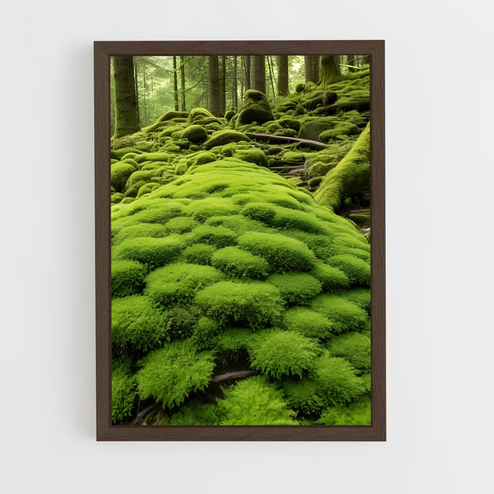 ap-moss-3 cadre Bois foncé