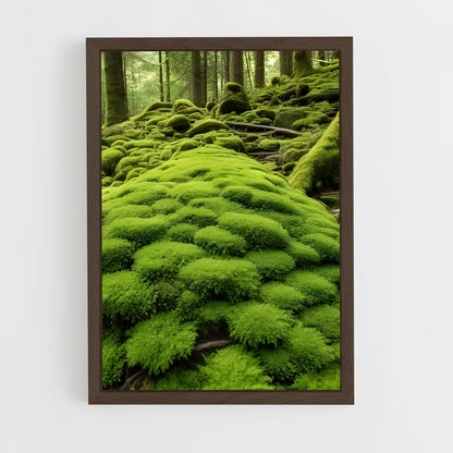 ap-moss-3 cadre Bois foncé