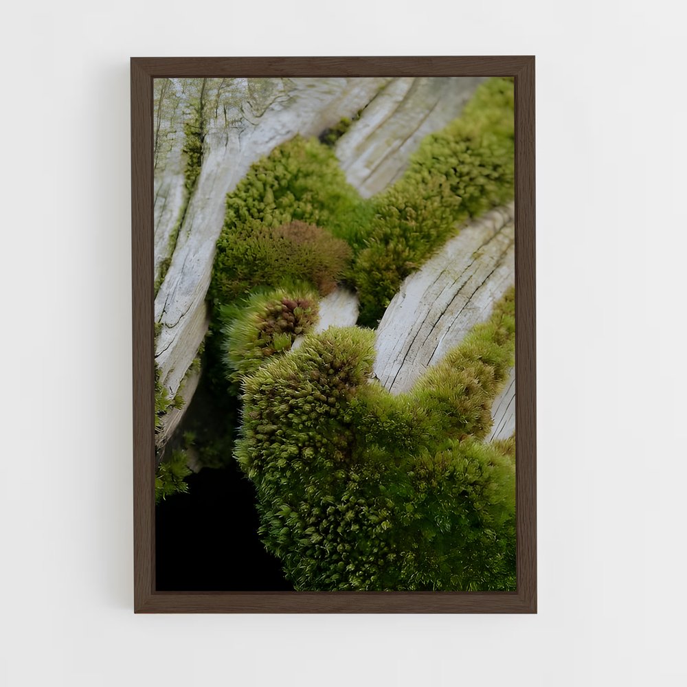 ap-moss-6 cadre Bois foncé