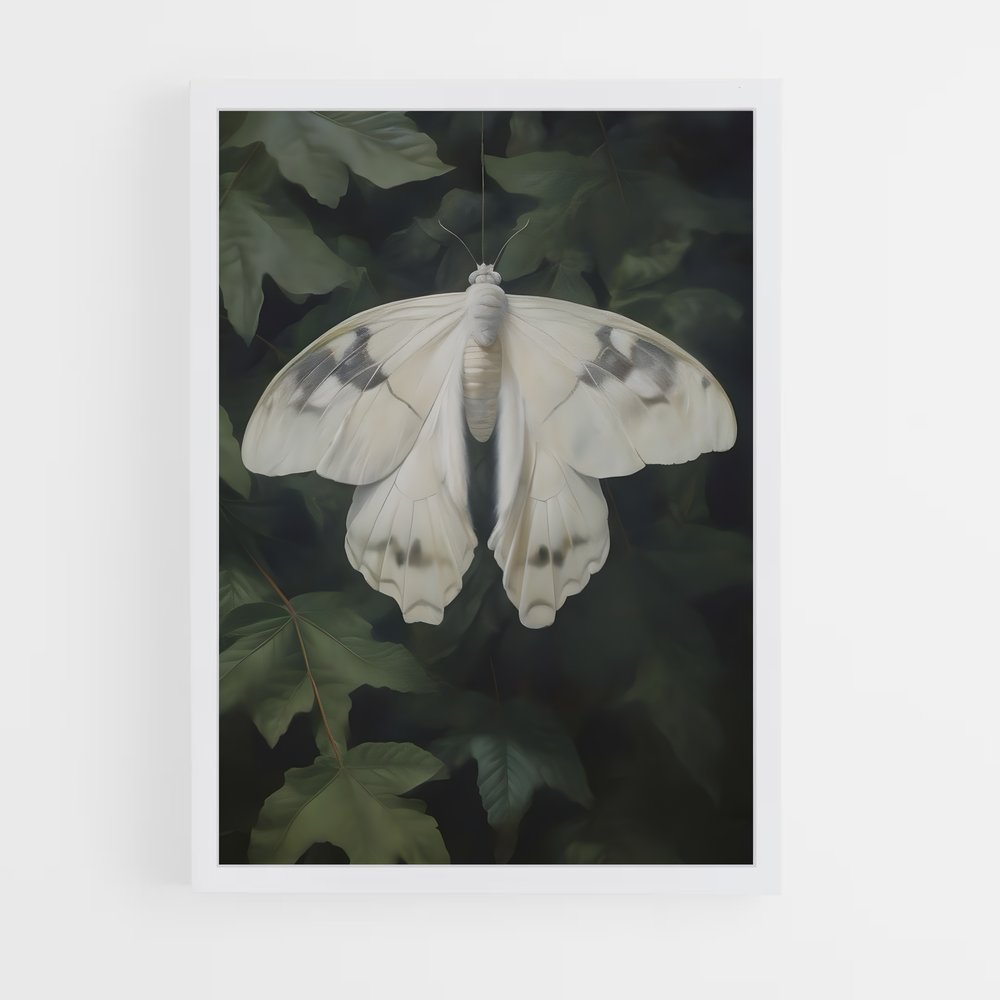 ap-moth-4 cadre Blanc