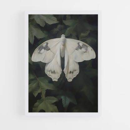 ap-moth-4 cadre Blanc