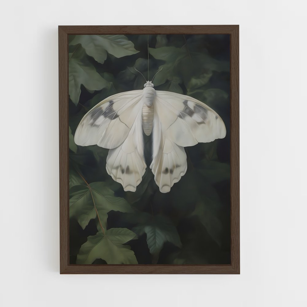 ap-moth-4 cadre Bois foncé