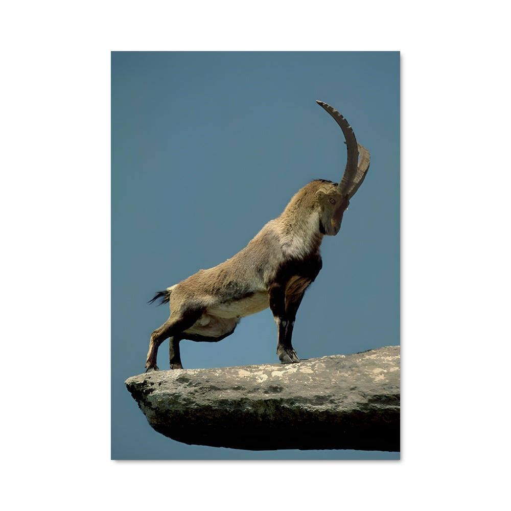 Poster La Montagne Enchantée