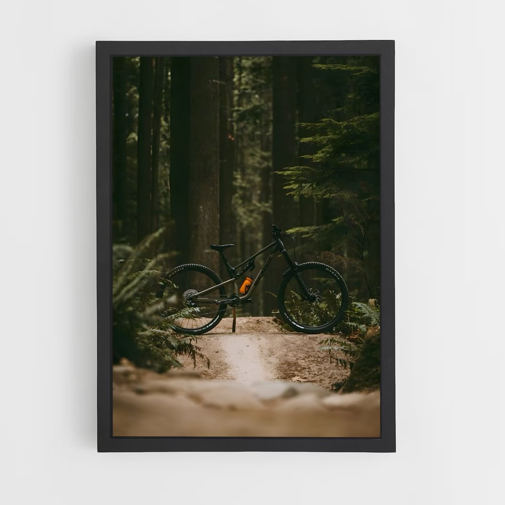 ap-mountain biking-9 cadre Noir