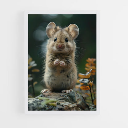 ap-mouse-3 cadre Blanc