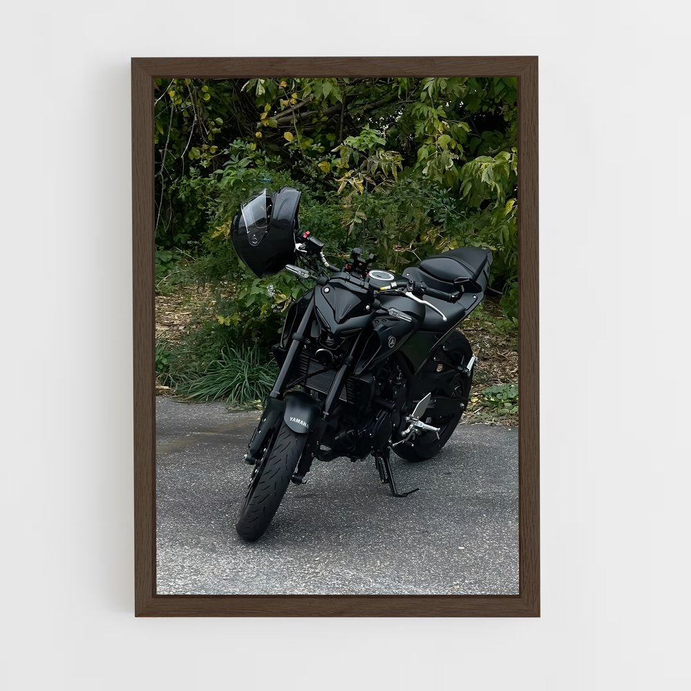 ap-mt-03-1 cadre Bois foncé