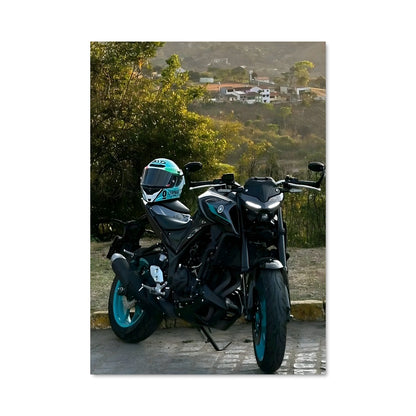 Poster Mt-03 82874