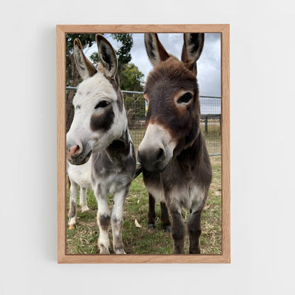 ap-mule-1 cadre Bois clair