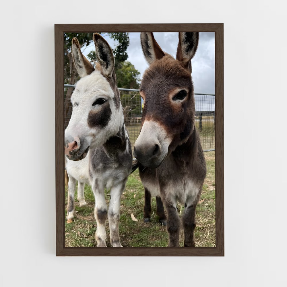 ap-mule-1 cadre Bois foncé